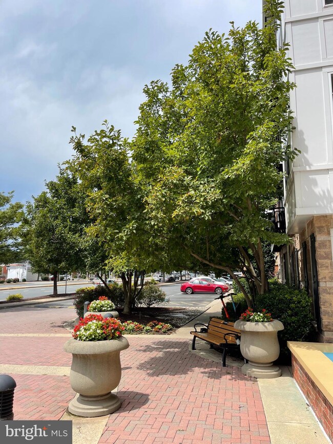 The Fitz at Rockville Town Center, Rockville, MD 20850 - photo 2