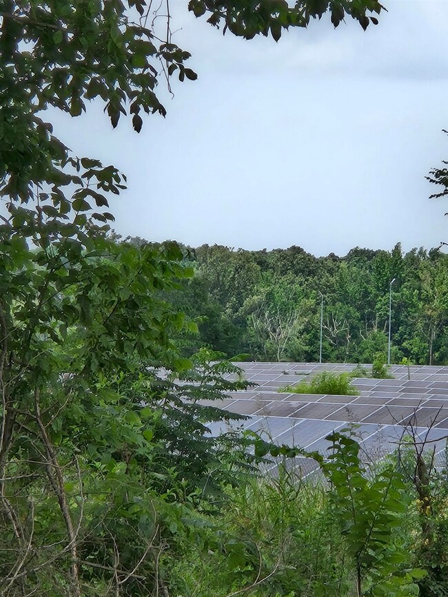 Solar farm behind the lot