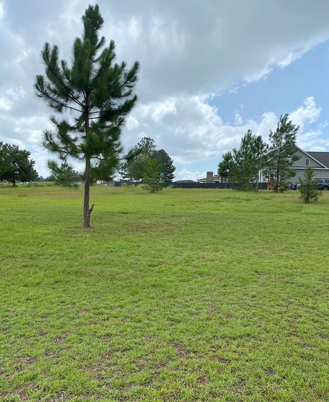 Lot view
