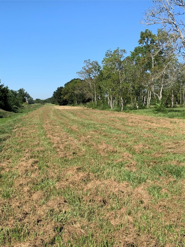0 Clifford St County Road 137 unit 37933508, Alvin, TX 77511 - photo 5