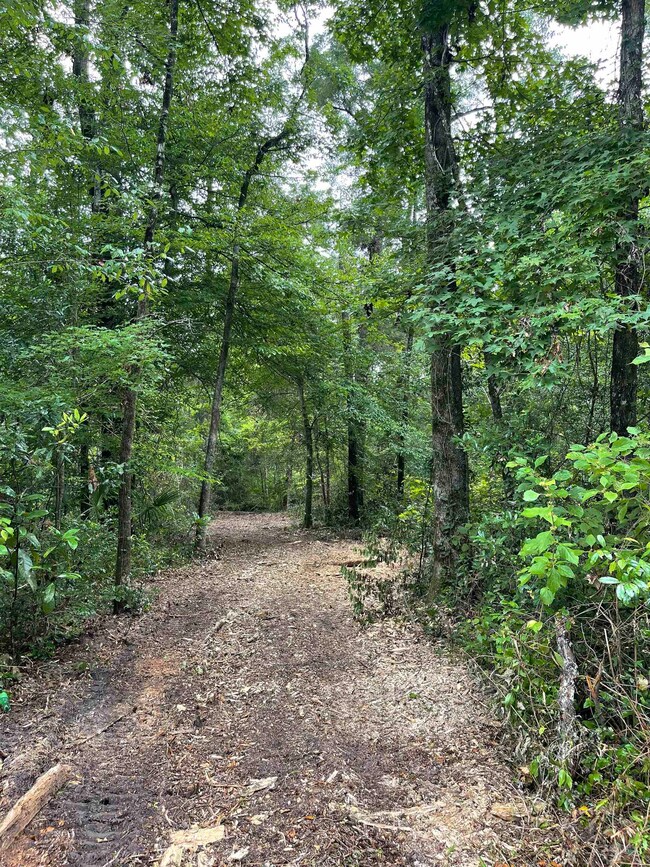 0 Palomino Rd, Crawfordville, FL 32327 - photo 6