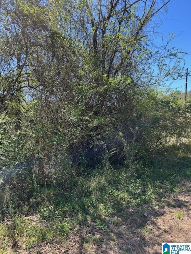 0 Cathedral Ln unit 4 21413575, Mc Calla, AL 35111 - photo 3