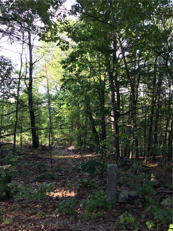 Lot 2 Tall Staples Rd, Newfield, ME 04056 - photo 5