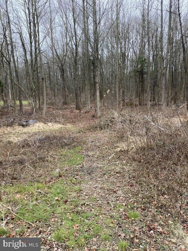 108 Kelly Driver Rd, Clementon, NJ 08021 - photo 6