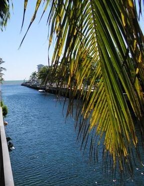 Canal View