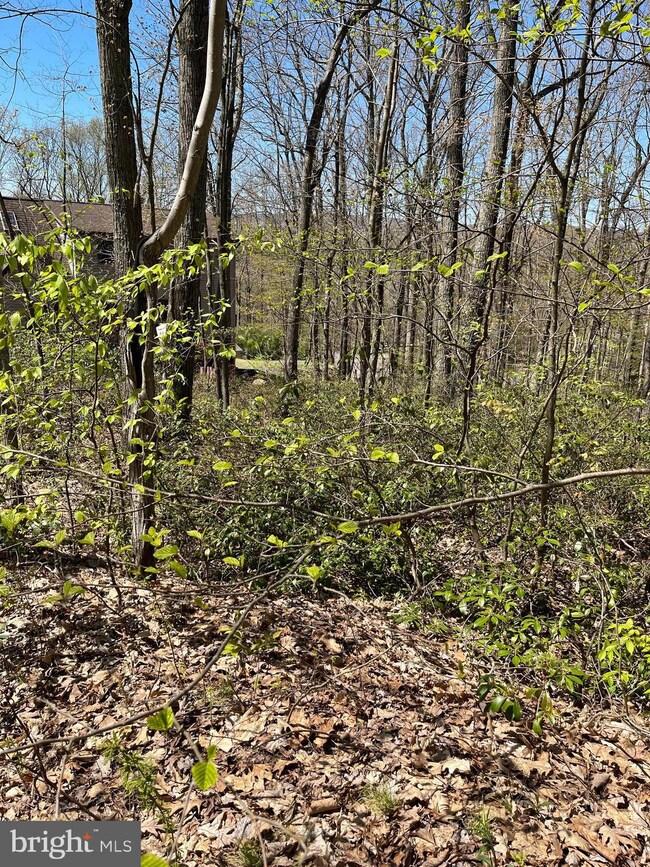 0 Tommys Ct, Drums, PA 18222 - photo 3