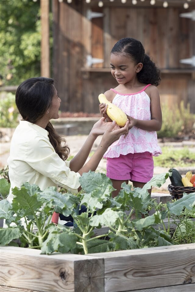 301 Azalea View Way unit Lot 1767, Apex, NC 27539 - photo 6