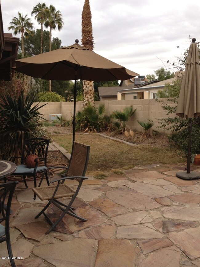 Back Patio