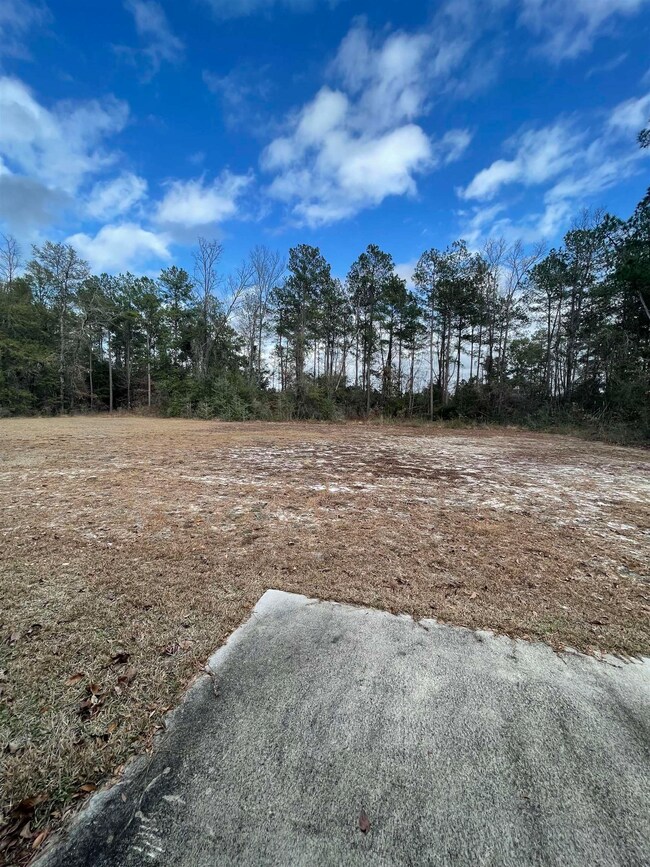 178 Scenic Stream Cir, Crawfordville, FL 32327 - photo 7