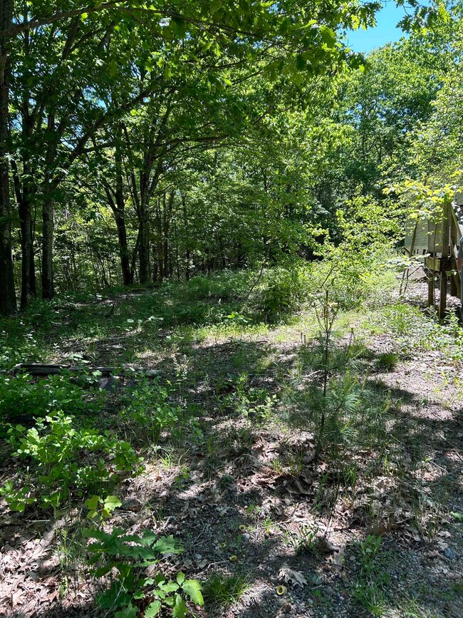 103 Ford Farm Rd, Milton, NH 03851 - photo 3