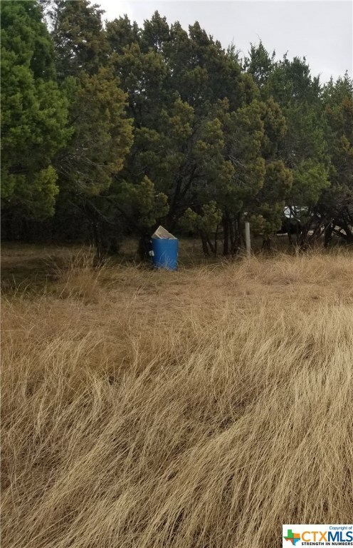 930 Cr 4804, Copperas Cove, TX 76522 - photo 2