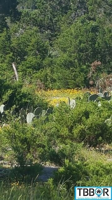 15957 Brazos Dr, Temple, TX 76502 - photo 5