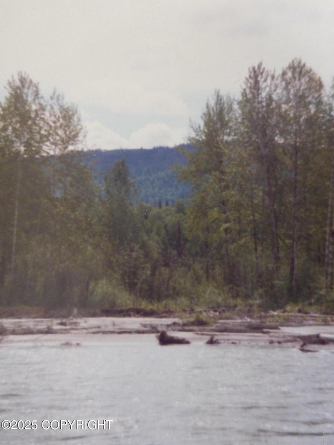 L3-1 Chase 2, Talkeetna, AK 99676 - photo 2