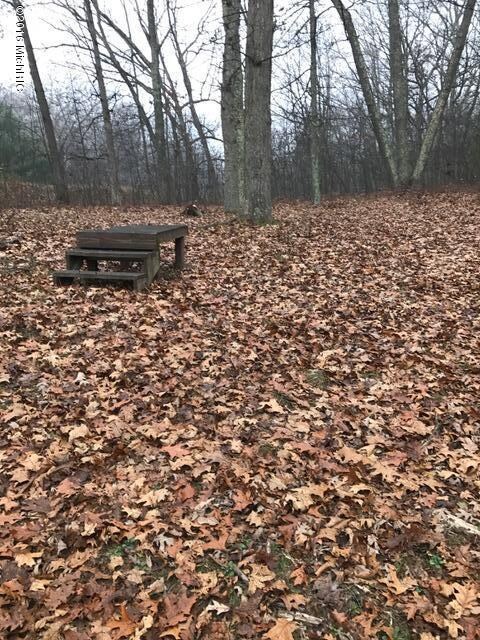 0 Fiftieth Ave unit 16057148, Bitely, MI 49309 - photo 5