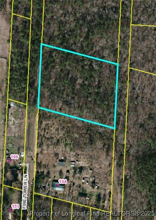0 Fire Tower Ln, Raeford, NC 28376 - photo 4
