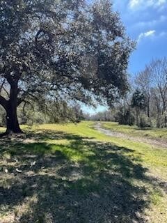 11658 County Road 190, Alvin, TX 77511 - photo 6
