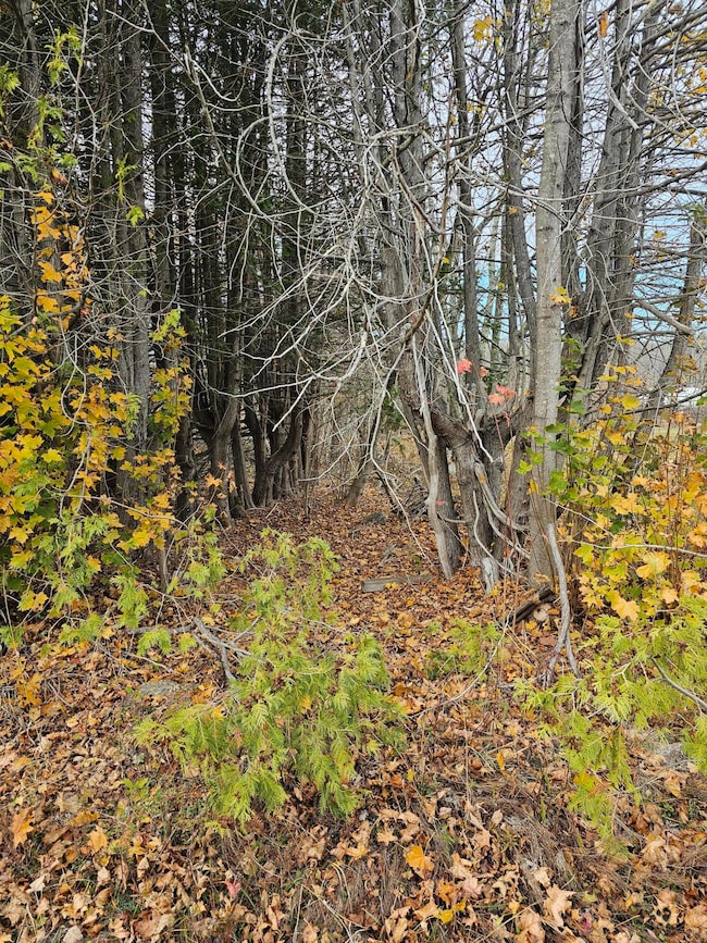 109 Main St, Franklin, ME 04634 - photo 3