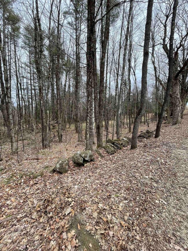 0 Turkey Shoot Rd unit 4906923, Acworth, NH 03601 - photo 6