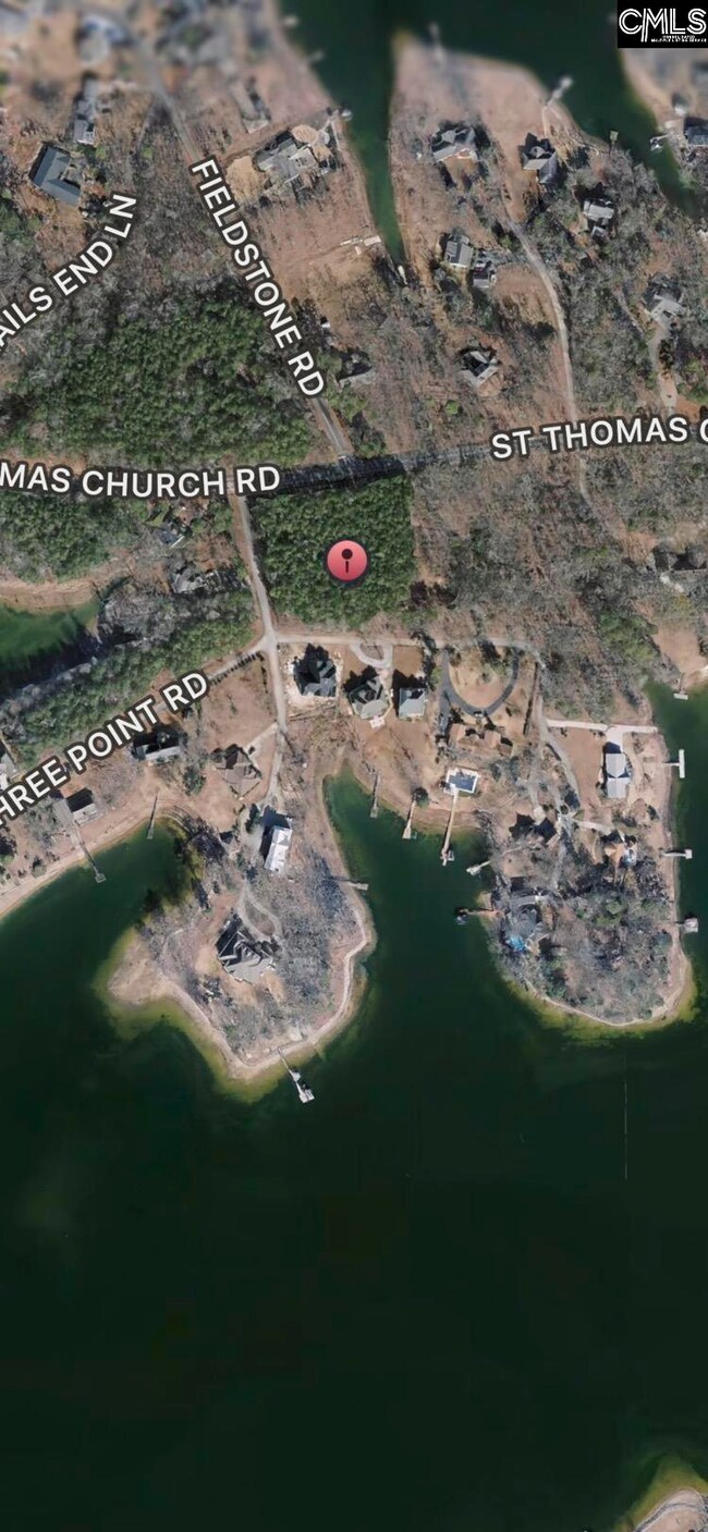 0 Three Point Rd, Chapin, SC 29036 - photo 5