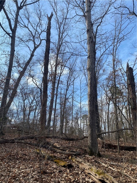 1 Leicester Dr, Bella Vista, AR 72714 - photo 4