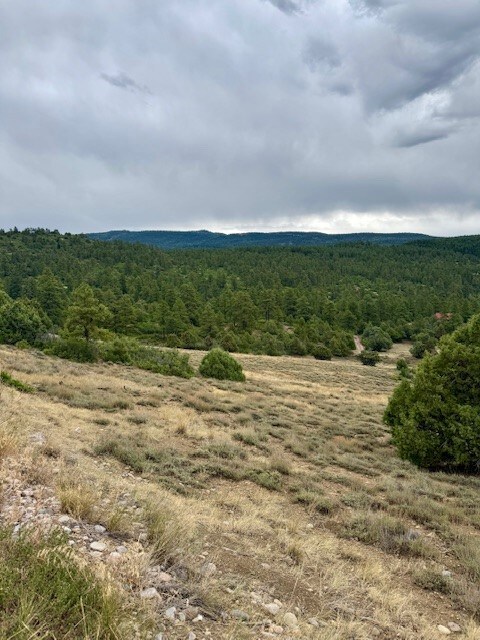 Unit 5 Tract 1 Private Drive 1783, Chama, NM 87520 - photo 4