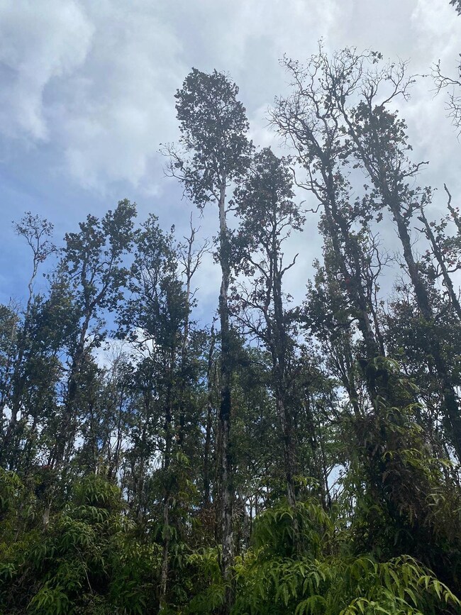 0 Molokai Rd unit 709658, Pahoa, HI 96778 - photo 2