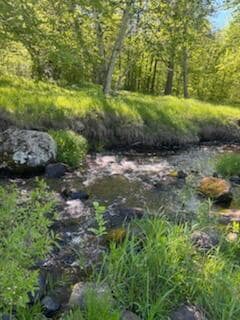 15370 Mallard Rd, Mission Creek Township, MN 55007 - photo 2