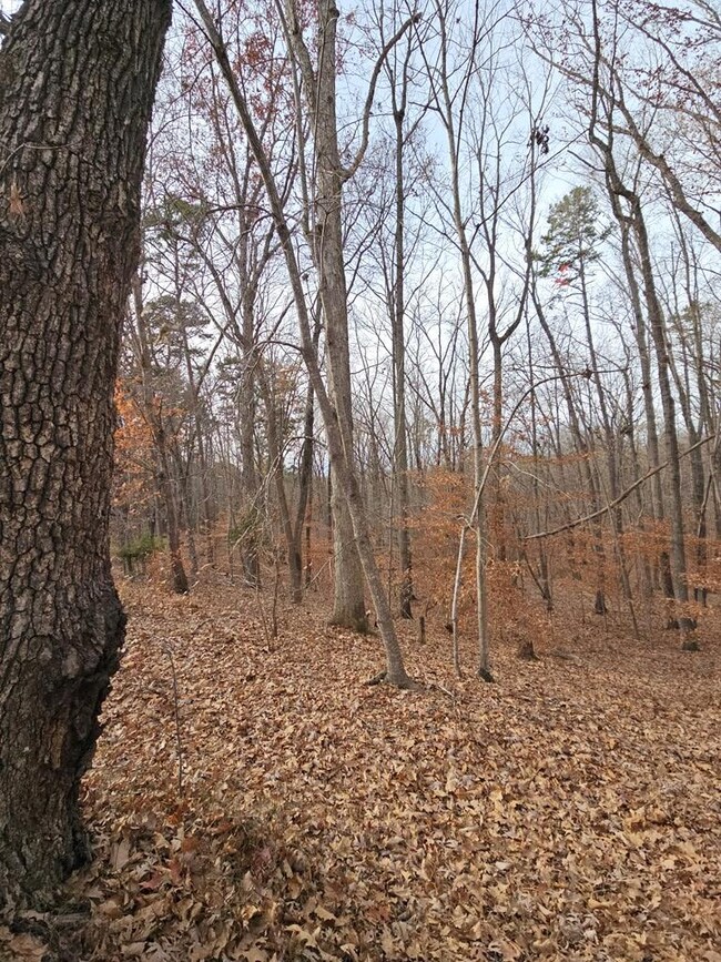 Lots 3-4 Powhatan Rd, Clarksville, VA 23927 - photo 7