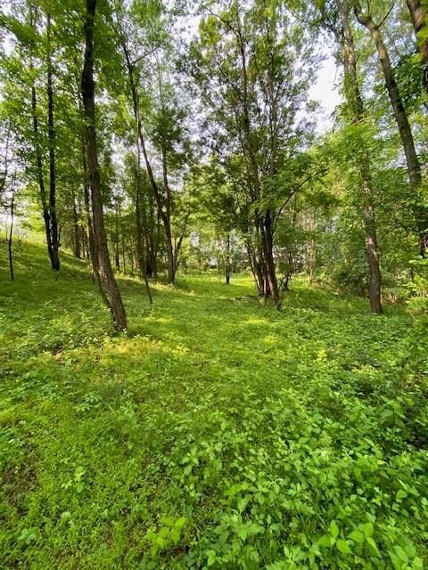 156 Schefflers Rd, Minisink, NY 10998 - photo 7