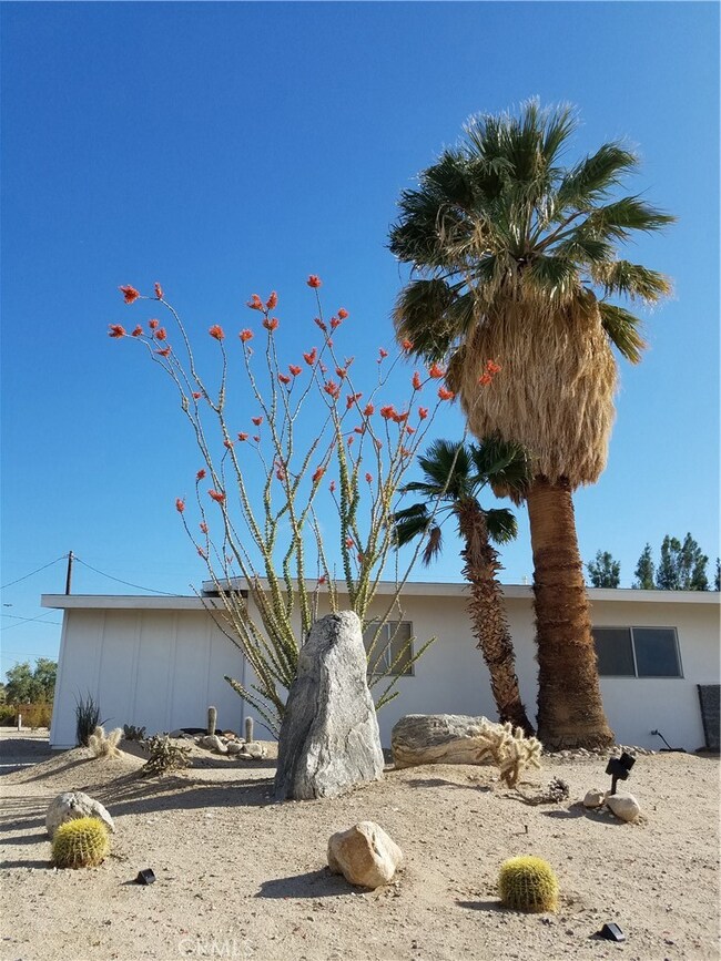 74415 Cottonwood Dr, Twentynine Palms, CA 92277 - photo 4