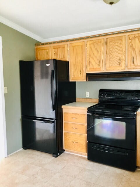 pic5