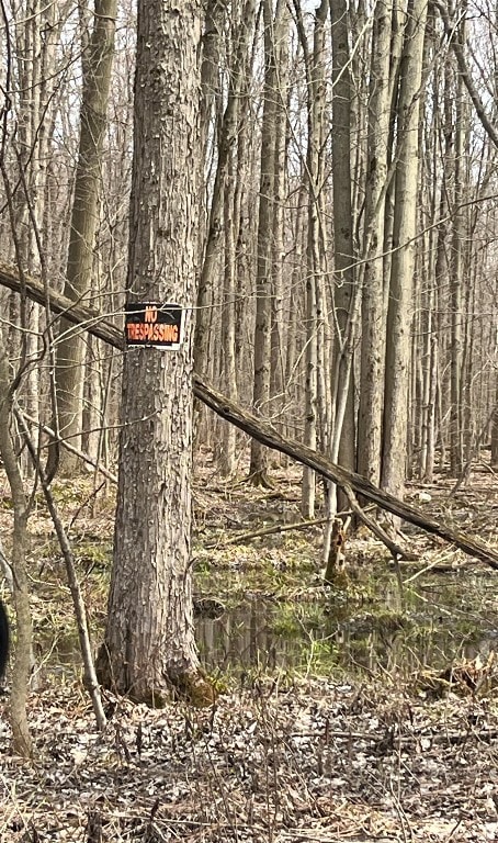 Orange poster on tree flanking survey marker