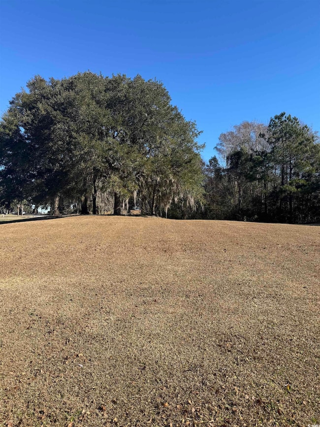 437 Rosebank Rd unit Lot 108, Georgetown, SC 29440 - photo 4