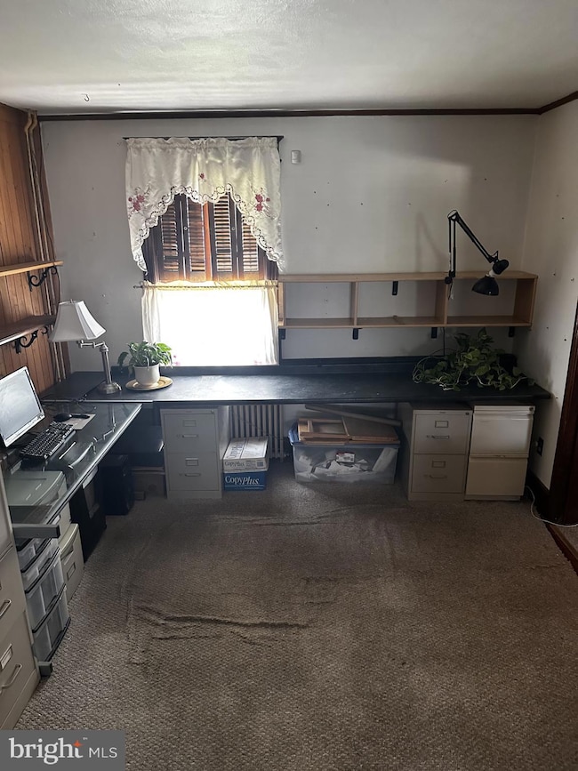 63 Carlton Ave, Ewing, NJ 08618 - photo 7