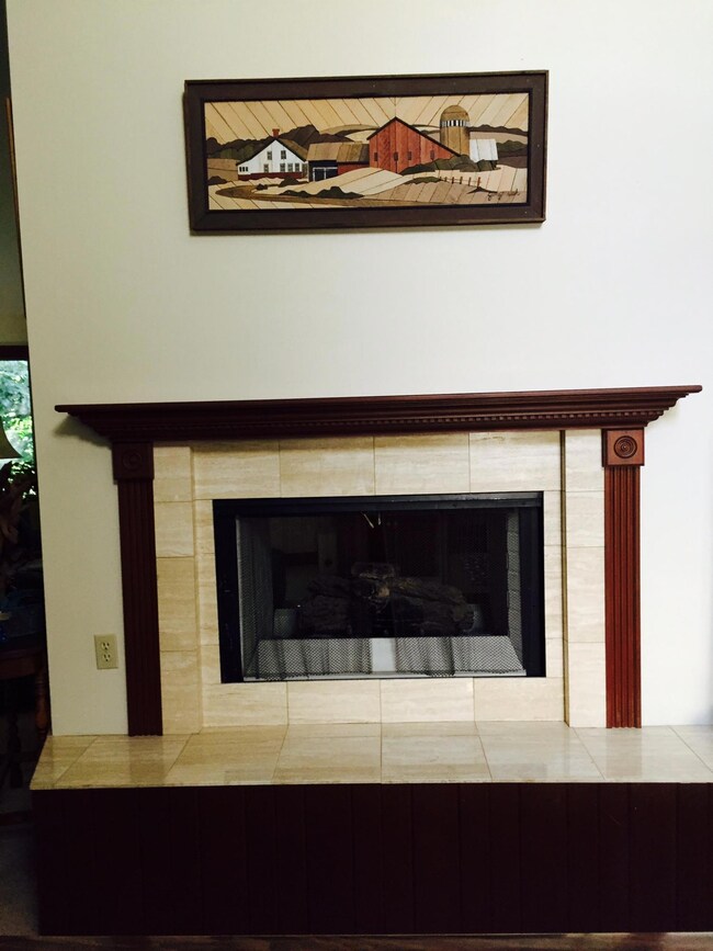 fireplace