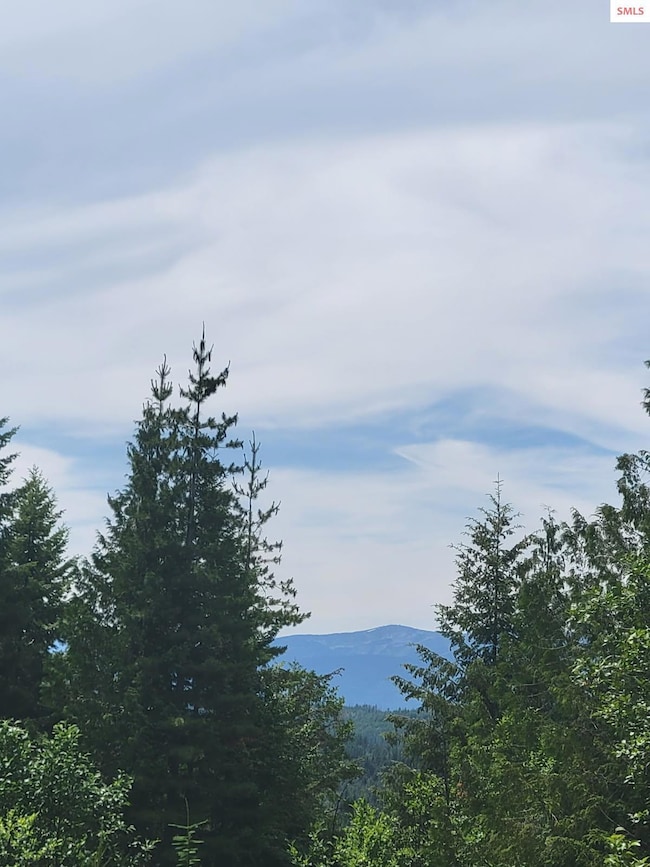 nna Rising Hawk Ridge, Sandpoint, ID 83864 - photo 3