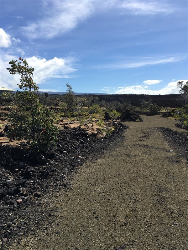 Looking into lot from near gate.