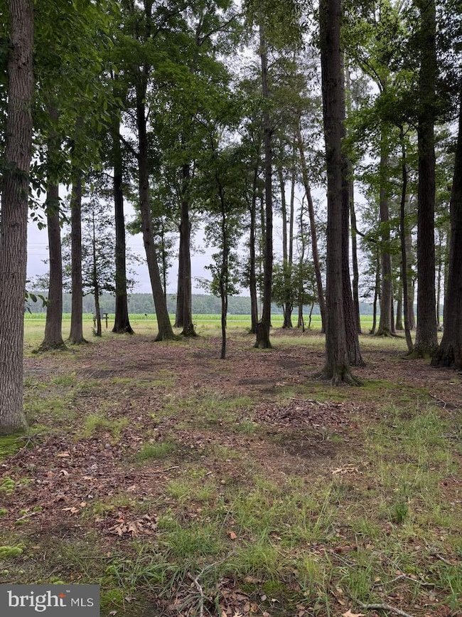 14073 Old Furnace Rd, Georgetown, DE 19947 - photo 2