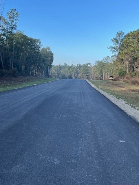 157 Rustic Ranch Dr, New Waverly, TX 77358 - photo 3