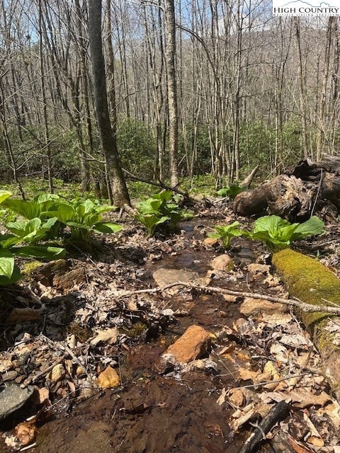 TBD Bald Mountain Rd, West Jefferson, NC 28694 - photo 2