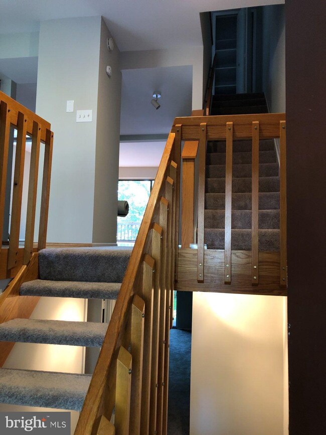 7124 Winter Rose Path, Columbia, MD 21045 - photo 3