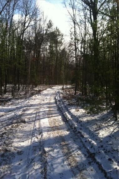 10 Cedar Rd, Lincoln Township, MI 48625 - photo 3