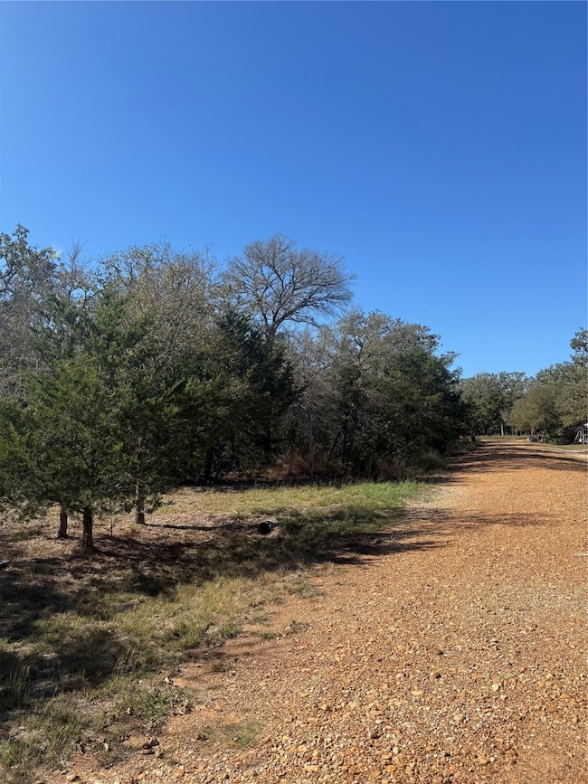 400 Possum Run, Somerville, TX 77879 - photo 6