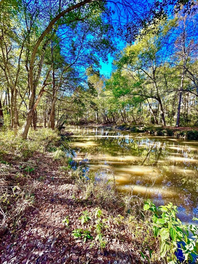 5395 Grand View Dr, Athens, TX 75752 - photo 3