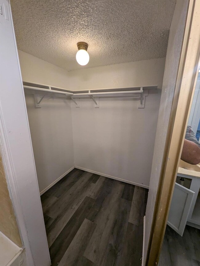 Walk in closet featuring dark wood finished floors