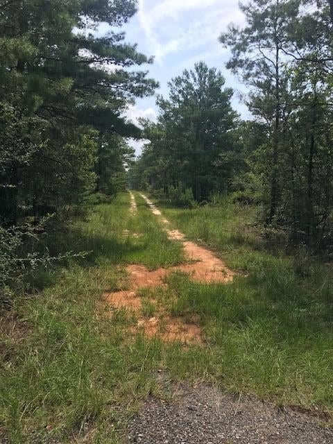 TBD Un-Named, Defuniak Springs, FL 32434 - photo 3