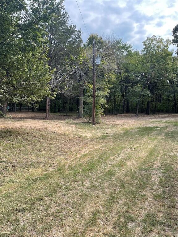 336 Mano Ln, Sadler, TX 76264 - photo 6