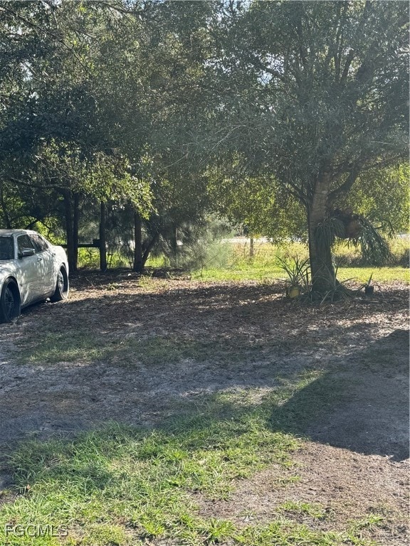 837 Pine Cone Ave, Clewiston, FL 33440 - photo 2