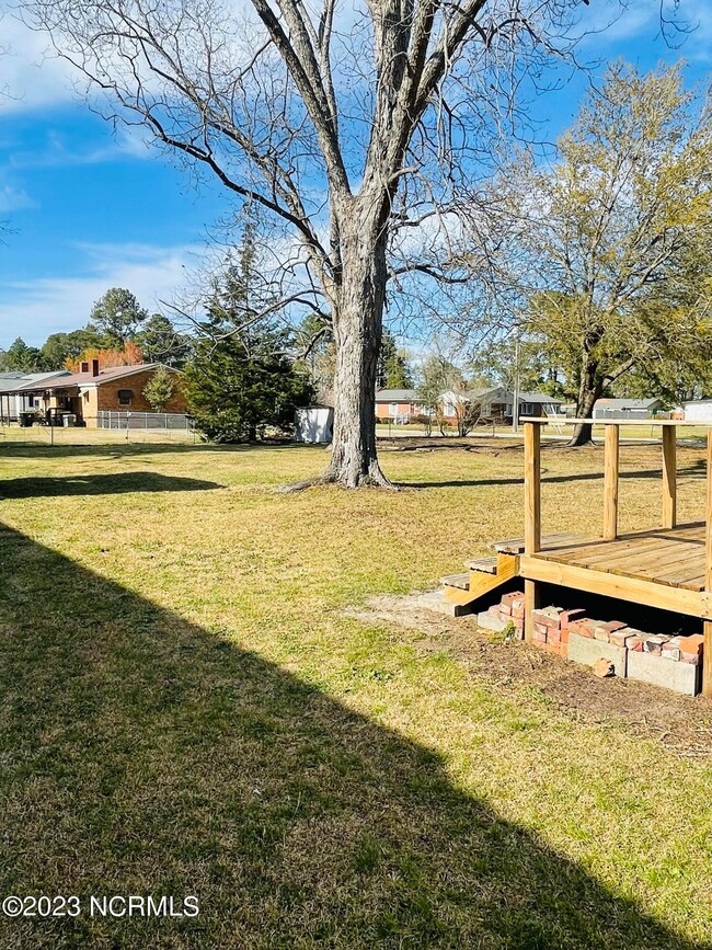 Back yard