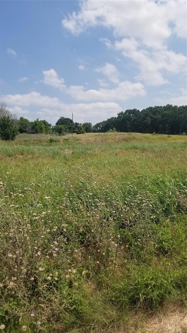 8496 Lavender, Springtown, TX 76082 - photo 2